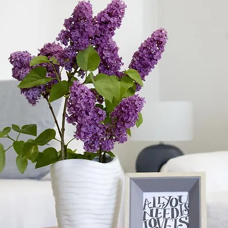 Apartamento Schmidt Pula